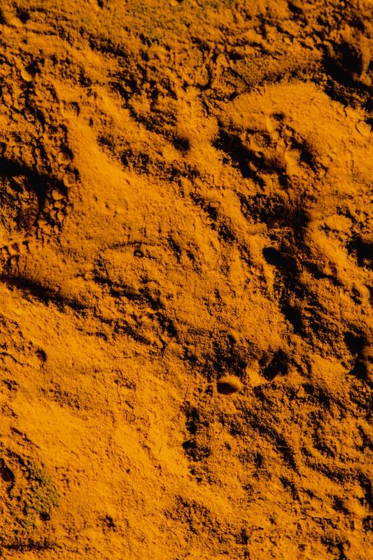 Haldi (Turmeric) 100g