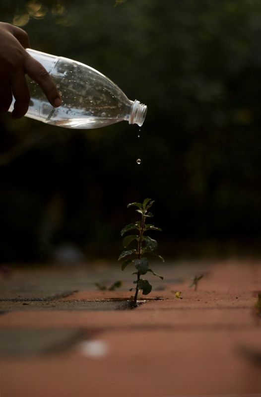 Mineral Water 500ml