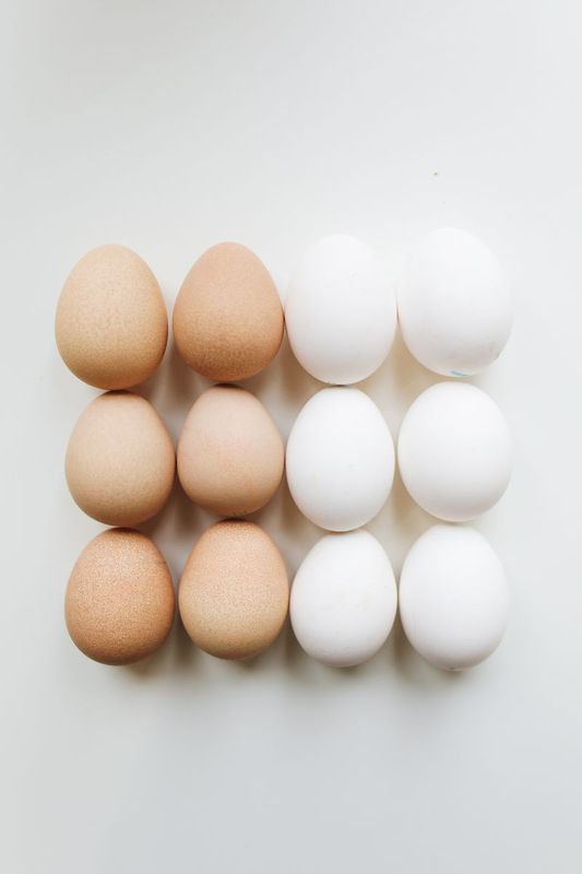 Anday (Eggs)