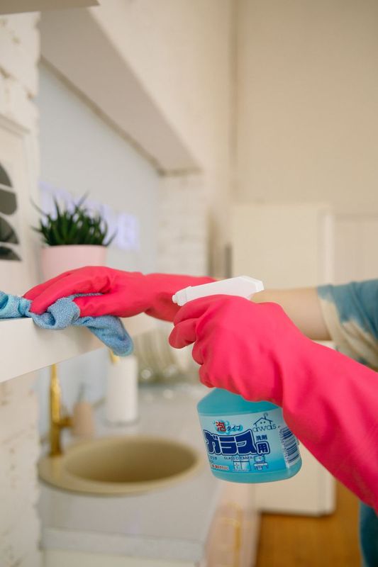 Dishwash Liquid 250ml